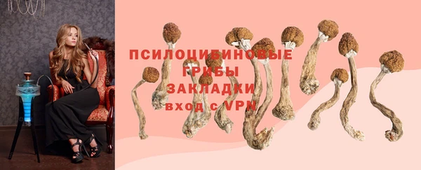 PSILOCYBIN Елизово